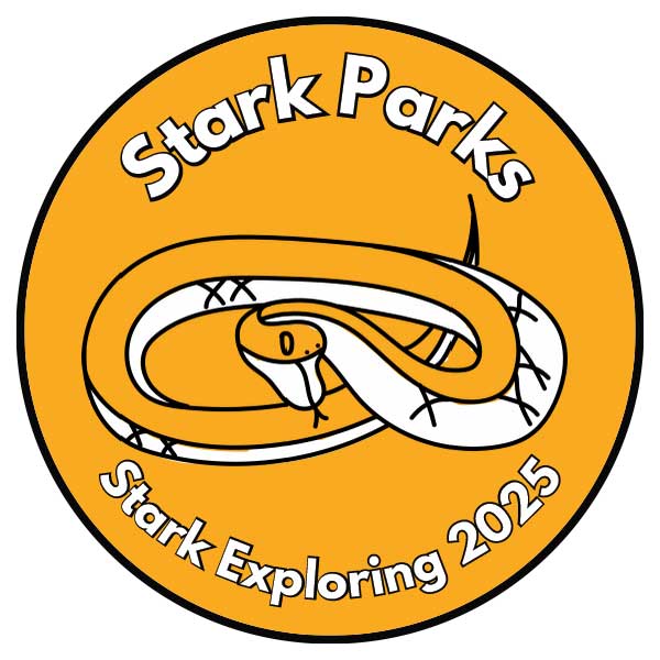 Snake coiled up graphic